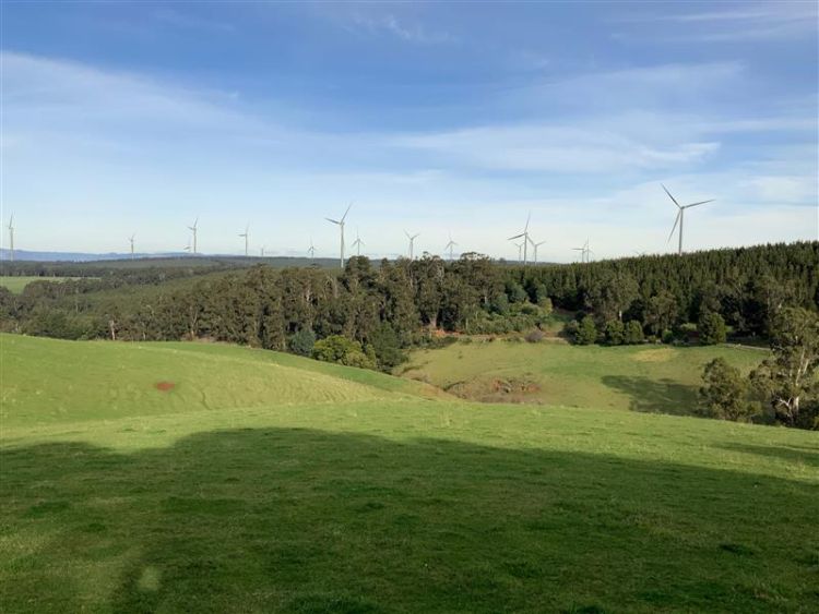Artists impression of Delburn Wind Farm