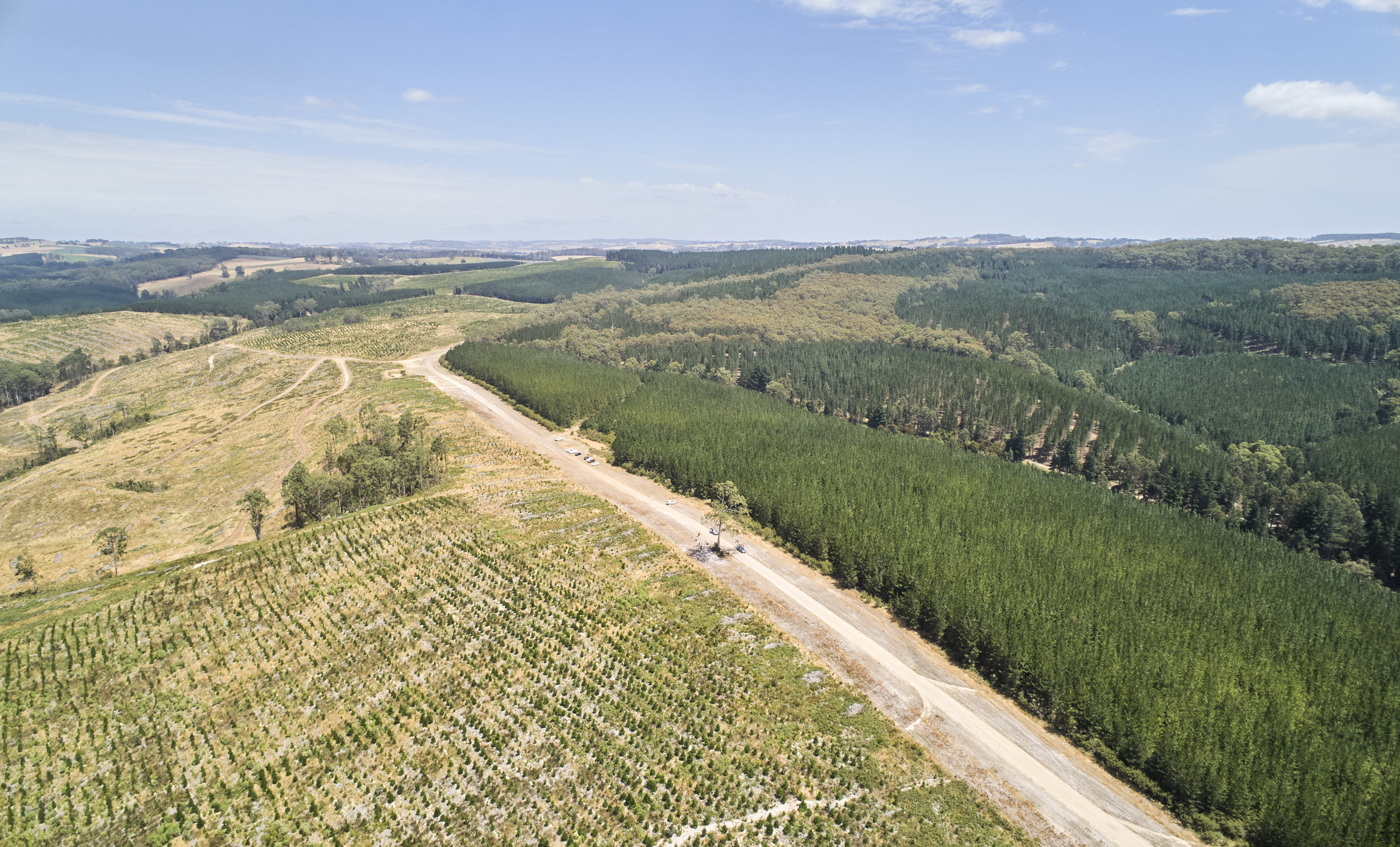 SEC Delburn Wind Farm site